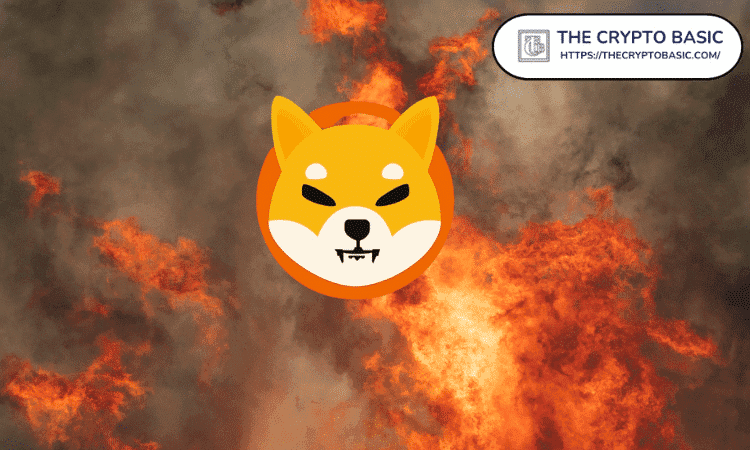 Massive Surge in Shiba Inu Burns: 71M Coins Vanish