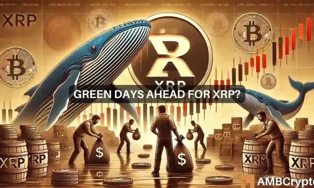 XRP Whales Accumulate Tokens Amid Price Drop: Signs of Upcoming Recovery?