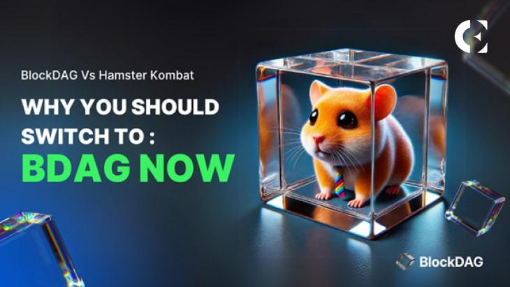 Unleash Your Skills: Dive into the Frenzy of BDAG's TG Tap Miner & Master Hamster Kombat