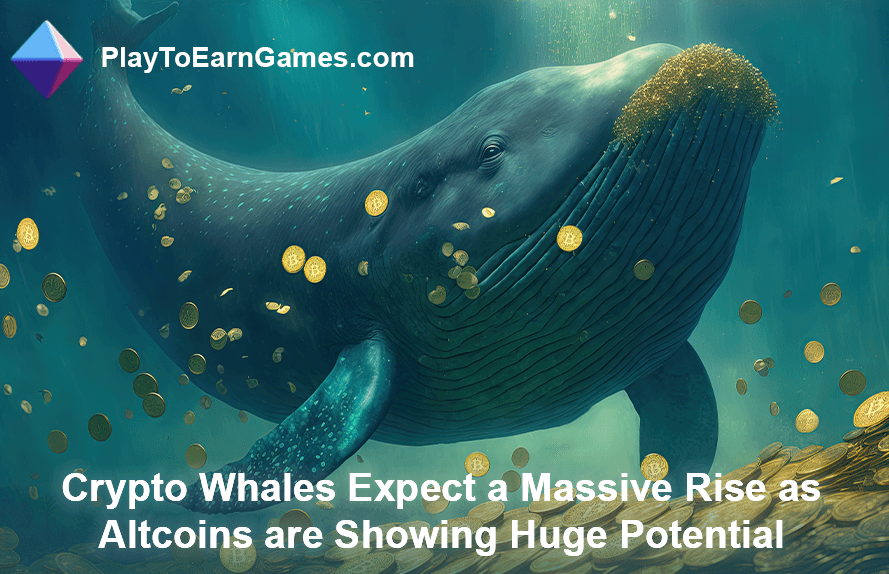 Crypto-walvissen verwachten stijging van Altcoins