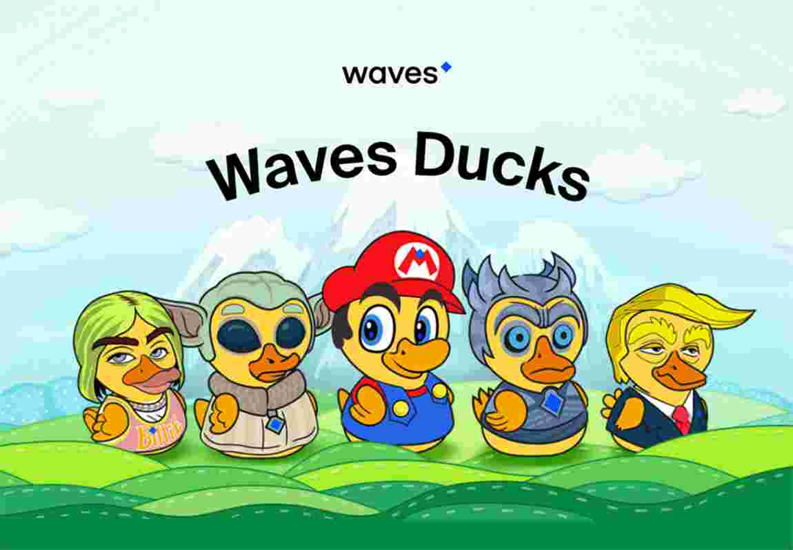 Waves Ducks - Spelrecensie